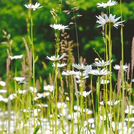 Отель Flux-biohotel Werratal Ганн. Мюнден